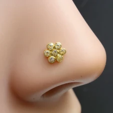 Nose Jewellery